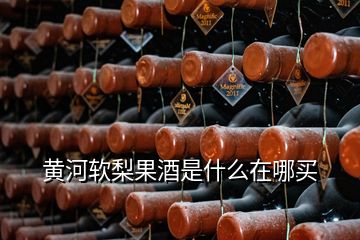 黃河軟梨果酒是什么在哪買(mǎi)