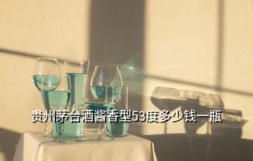 貴州茅臺(tái)酒醬香型53度多少錢(qián)一瓶