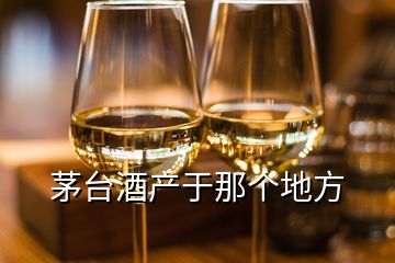 茅臺(tái)酒產(chǎn)于那個(gè)地方