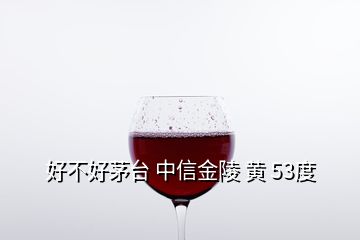 好不好茅臺(tái) 中信金陵 黃 53度