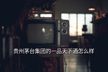 貴州茅臺(tái)集團(tuán)的一品天下酒怎么樣