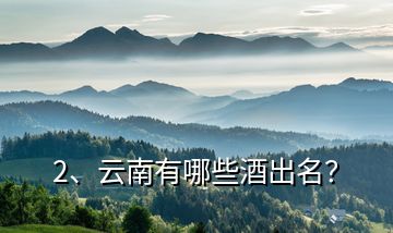 2、云南有哪些酒出名？
