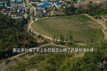 都說(shuō)茅臺(tái)喝了不上頭但我怎么喝了還是覺得頭疼