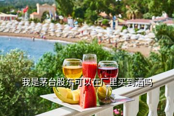 我是茅臺(tái)股東可以在廠里買(mǎi)到酒嗎