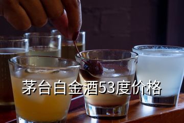 茅臺白金酒53度價格