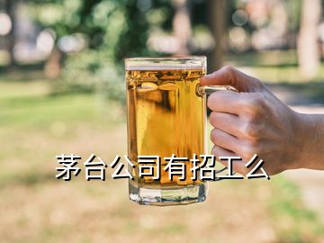 茅臺(tái)公司有招工么