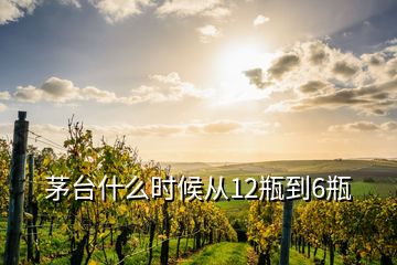 茅臺(tái)什么時(shí)候從12瓶到6瓶