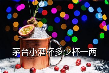 茅臺(tái)小酒杯多少杯一兩