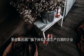 茅臺集團(tuán)酒廠旗下共有幾家生產(chǎn)白酒的企業(yè)