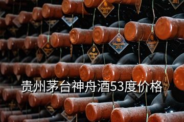 貴州茅臺神舟酒53度價格