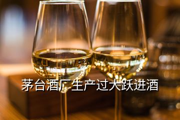 茅臺酒廠生產(chǎn)過大躍進(jìn)酒