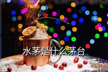 水茅是什么茅臺(tái)