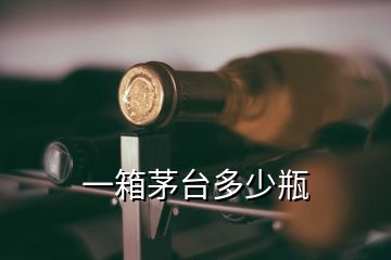 一箱茅臺(tái)多少瓶