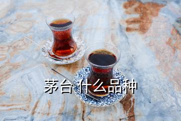 茅臺(tái) 什么品種