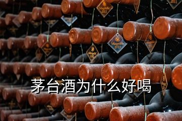 茅臺(tái)酒為什么好喝