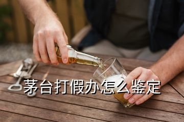 茅臺(tái)打假辦怎么鑒定