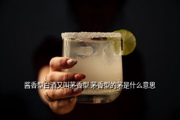 醬香型白酒又叫茅香型 茅香型的茅是什么意思