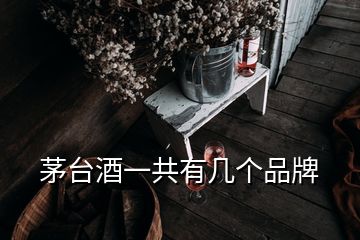 茅臺酒一共有幾個(gè)品牌