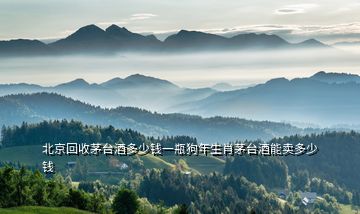 北京回收茅臺(tái)酒多少錢(qián)一瓶狗年生肖茅臺(tái)酒能賣(mài)多少錢(qián)