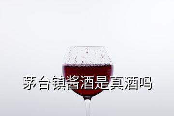 茅臺(tái)鎮(zhèn)醬酒是真酒嗎