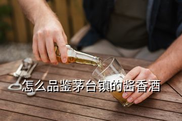 怎么品鑒茅臺鎮(zhèn)的醬香酒