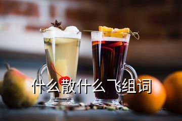 什么散什么飛組詞