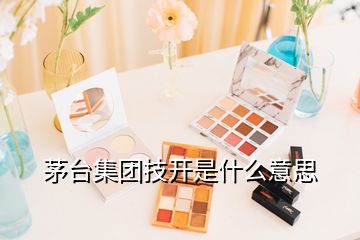 茅臺集團技開是什么意思