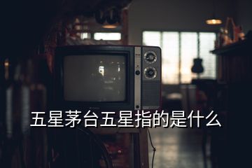 五星茅臺五星指的是什么