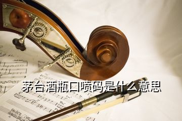 茅臺(tái)酒瓶口噴碼是什么意思