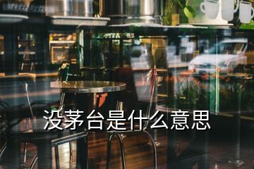 沒茅臺是什么意思