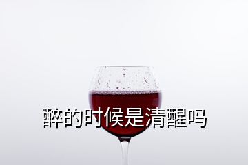 醉的時(shí)候是清醒嗎