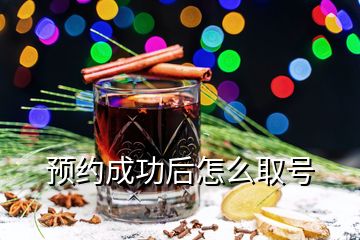 預(yù)約成功后怎么取號