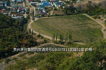 貴州茅臺集團的貢酒貨號GB107811優(yōu)級52度 價格