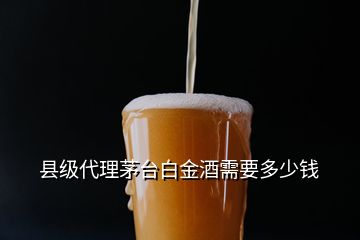 縣級代理茅臺白金酒需要多少錢