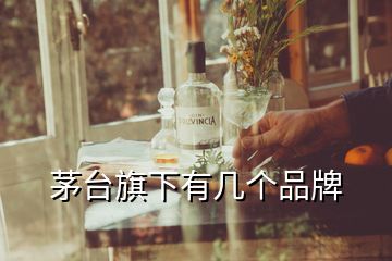 茅臺(tái)旗下有幾個(gè)品牌