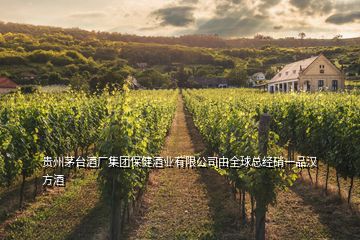 貴州茅臺酒廠集團保健酒業(yè)有限公司由全球總經(jīng)硝一品漢方酒