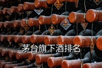 茅臺(tái)旗下酒排名