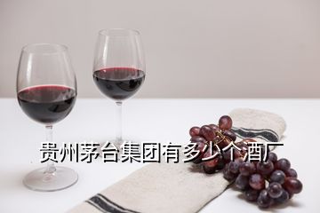 貴州茅臺(tái)集團(tuán)有多少個(gè)酒廠