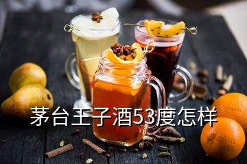 茅臺(tái)王子酒53度怎樣