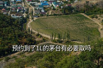 預(yù)約到了1L的茅臺(tái)有必要取嗎