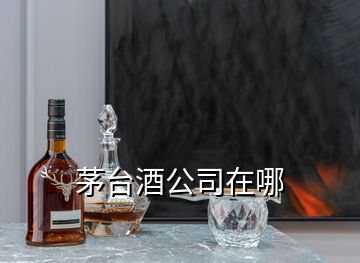 茅臺(tái)酒公司在哪