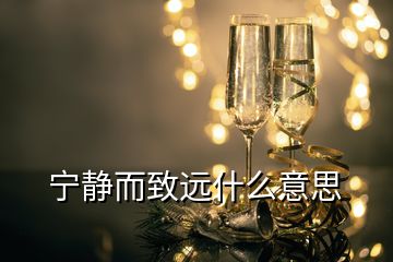 寧靜而致遠什么意思