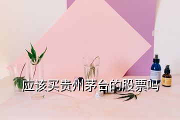 應(yīng)該買(mǎi)貴州茅臺(tái)的股票嗎