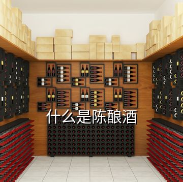 什么是陳釀酒