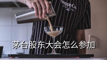 茅臺(tái)股東大會(huì)怎么參加