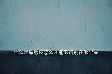 什么是原版皮怎么才能夠辨別在哪里買(mǎi)