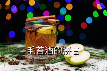 毛苔酒的拼音