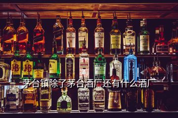 茅臺(tái)鎮(zhèn)除了茅臺(tái)酒廠還有什么酒廠