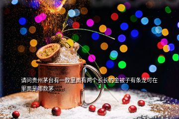 請問貴州茅臺有一款里面有兩個長長的金被子有條龍可在里面是哪款茅