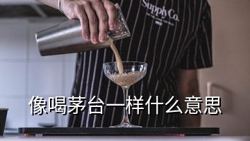 像喝茅臺(tái)一樣什么意思